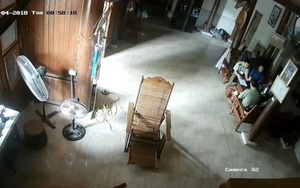 Nghệ An: Khởi tố bị can và tạm giam 4 tháng 2 cán bộ quản lý thị trường