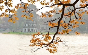 Hoàn lưu bão số 1 gây mưa dông mạnh khu vực Trung Bộ và Tây Nam Bộ