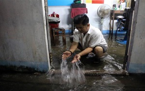 Triều cường gây nhiều thiệt hại tại các địa phương