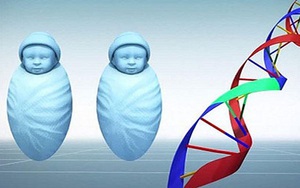 WHO: Thế giới cần khung quản lý chặt chẽ về chỉnh sửa gien người