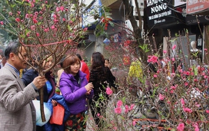 Trung tâm Hà Nội rực rỡ trước thềm Tết Nguyên đán