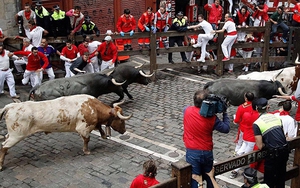 Chạy với bò tót ở Tây Ban Nha: Rủi ro nhưng khó bỏ