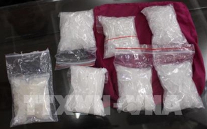 Bắt đối tượng cầm đầu đường dây mua bán ma túy từ vùng biên về Hà Nội