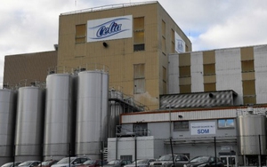 Pháp thu hồi 7.000 tấn sữa trẻ em do nghi ngờ nhiễm Salmonella