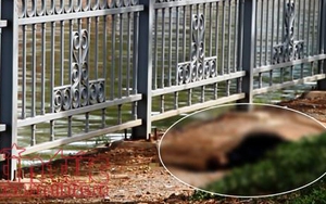 Đi câu cá, tá hỏa phát hiện xác người đàn ông nổi trên kênh Tàu Hủ