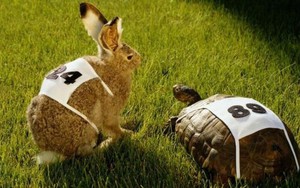 Sau 40 tuổi, nếu xuất hiện 3 dấu hiệu này thì phải sửa ngay vì nguy cơ tiền đồ ‘xuống dốc không phanh' cực lớn