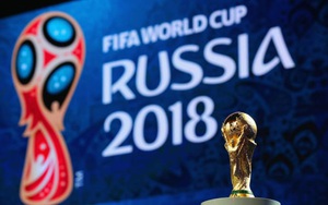VTV lên tiếng về tranh cãi quán cà phê chiếu World Cup 2018 phải xin phép