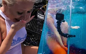 Sao phim người lớn bị cá mập cắn khi ăn mặc gợi cảm chụp ảnh