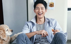 Lời yêu có cánh Song Joong Ki dành cho Song Hye Kyo bị chê PR cho phim 'Đảo địa ngục'
