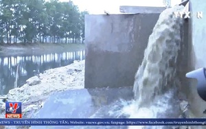 Cảnh sát môi trường bắt quả tang doanh nghiệp Trung Quốc xả thải trộm xuống dòng Bắc Hưng Hải