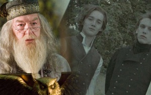 Từ chối công khai Dumbledore đồng tính, ‘Sinh vật huyền bí 2’ đang phản bội người hâm mộ?