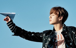 Cuộc sống sướng như tiên khi được là em út của BTS