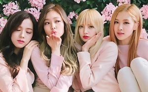 Bao chàng vây quanh nhưng các cô gái Black Pink lại tranh nhau thích mỗi người này