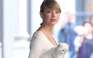 Taylor Swift thủ vai chính cạnh loạt sao trong phim của đạo diễn đoạt giải Oscar