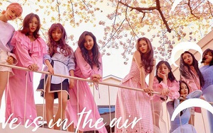 Fan của Twice có hành xử đáng ngưỡng mộ khi thần tượng hủy show đột ngột