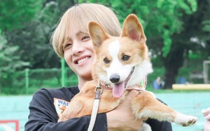 Mê mệt với những thú cưng nổi tiếng không kém gì chủ của sao Kpop
