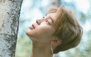 Jimin BTS bất bại về giá trị thương hiệu cá nhân, vượt xa Kang Daniel