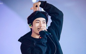 Fan V BTS nằm trong những cộng đồng đầu tiên quyên góp vì quyền người da đen