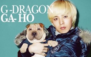 Thú cưng của G-Dragon Bigbang bị gia đình bỏ bê, ngược đãi