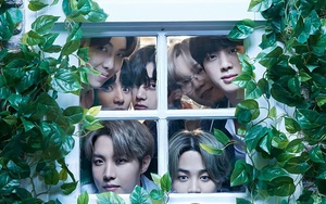 BTS tung chuyện ‘thâm cung bí sử’ trước khi phát hành album tiếng Nhật thứ 4