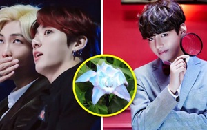Hoa Smeraldo lại nở, hé lộ mảnh ghép cuối cùng của BTS lần comeback này?