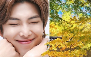 RM BTS đi du lịch, ARMY ngập trong sắc thu