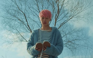 BTS vừa xác nhận giả thuyết bi kịch đứng sau ca khúc ‘Spring Day’?