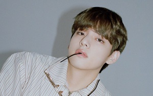 Khi V BTS hát nhạc si tình của Blackpink: Bóng dáng Jisoo trong gió