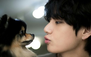 Cún cưng Yeontan của V BTS sinh nhật bằng loạt sự kiện thiện nguyện rầm rộ