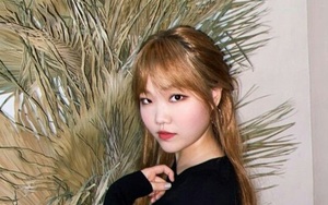 ARMY chân chính lên tiếng khi fan BTS lao vào chê bai ngoại hình nghệ sĩ thần đồng của YG