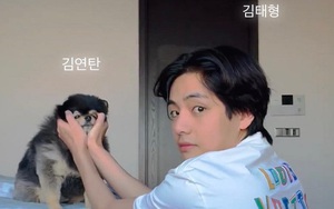 Nhờ chú cún Yeontan, V BTS lọt top được thích nhất Instagram mọi thời đại