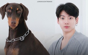Cún Bam của Jungkook BTS vượt mốc view khổng lồ trên TikTok