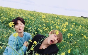 V BTS từng khăn gói tới thăm Park Bo Gum trong quân đội