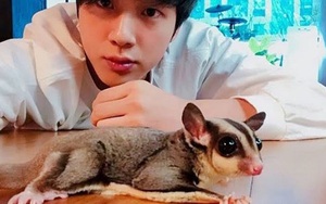 Sao Kpop có thú cưng siêu độc lạ: Jin BTS, Soobin TXT, Bambam GOT7