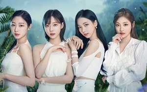 Fan đi hỏi tại sao aespa lại bị ghét như vậy