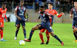 Soi kèo nhà cái Rennes vs Montpellier. Nhận định, dự đoán bóng đá Pháp (03h00, 21/11)