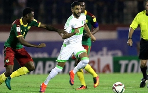 Soi kèo nhà cái Cameroon vs Algeria. Nhận định, dự đoán bóng đá vòng loại World Cup (00h00, 26/3)