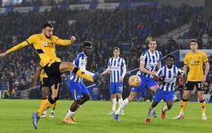 Soi kèo nhà cái Wolves vs Brighton. Nhận định, dự đoán bóng đá Ngoại hạng Anh (21h00, 30/4)