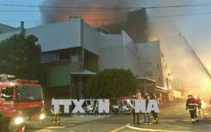 Sớm bố trí việc làm cho hơn 160 lao động Việt Nam bị mất việc làm do cháy xưởng tại Đài Loan (Trung Quốc)
