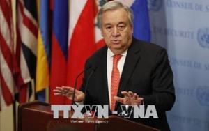 HĐBA LHQ không thông qua dự thảo nghị quyết của Nga lên án tấn công Syria