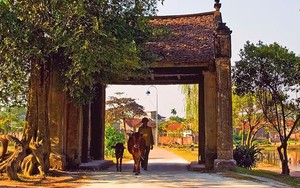 Bảo tồn làng cổ Đường Lâm: Giải bài toán hàng ngàn người đang sống trong di sản
