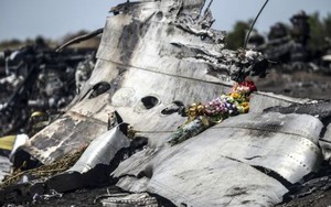 Vụ rơi máy bay MH17: Nga khẳng định Hà Lan không thể đưa ra bằng chứng