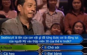 Xem video: 'Ông trùm' Phan Quân thắng 40 triệu ở ‘Ai là triệu phú’