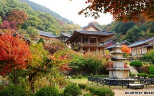 UNESCO công bố các di sản thế giới mới tại Hàn Quốc và Ấn Độ