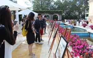 Độc đáo ‘Phố bên đồi’