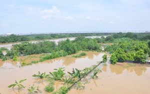 Mực nước sông Hồng tại Hà Nội lên nhanh, miền Bắc cảnh báo lũ quét, ngập úng