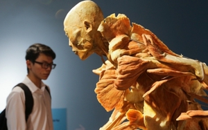 Xung quanh triển lãm 'Sự bí ẩn đặc biệt của cơ thể người': Bộ VH,TT&DL sẽ kiểm tra độc lập, vẫn mở cửa đón khách