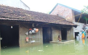 Hà Nội chủ động ứng phó với tình trạng biến đổi khí hậu cực đoan