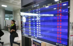 Bão Kong-rey quét qua Hàn Quốc gây thiệt hại nặng nề