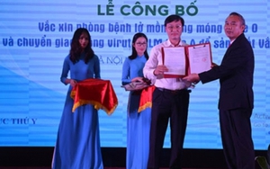 VIDEO: Việt Nam sản xuất thành công vacxin lở mồm long móng